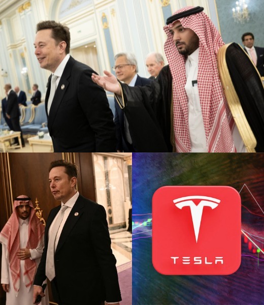 493541035_713187718056059_2275326076876309813_n