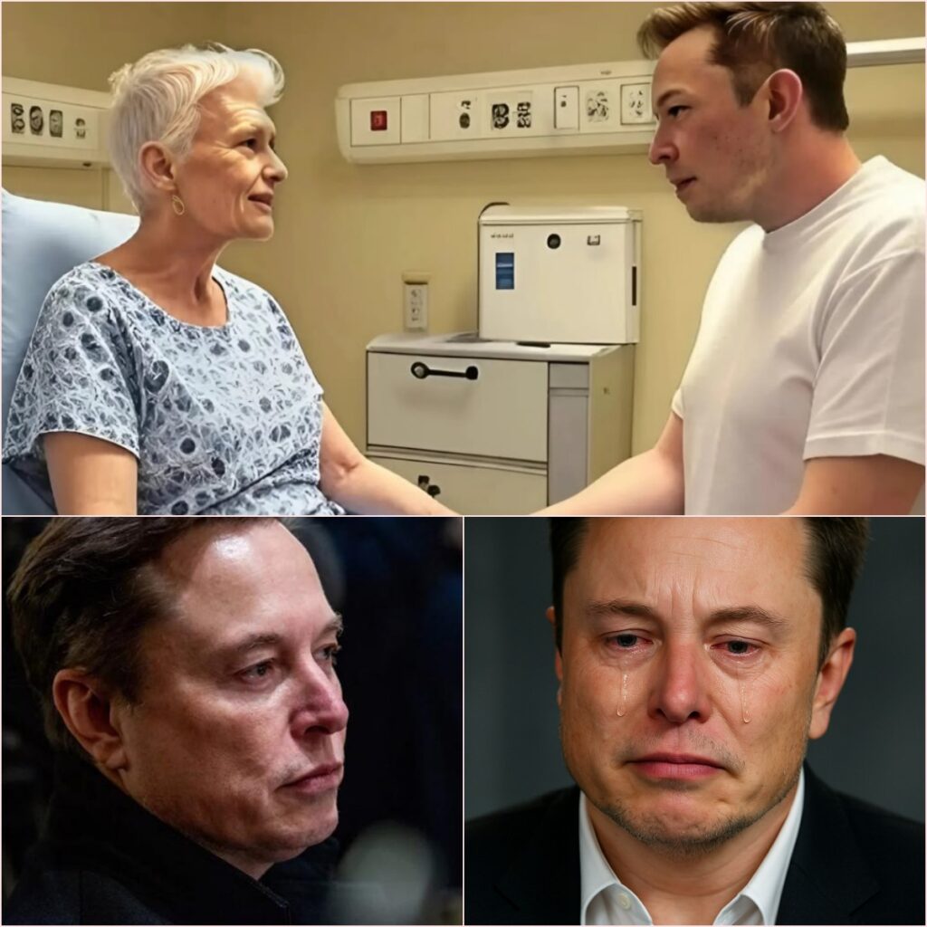 493541035_713187718056059_2275326076876309813_n